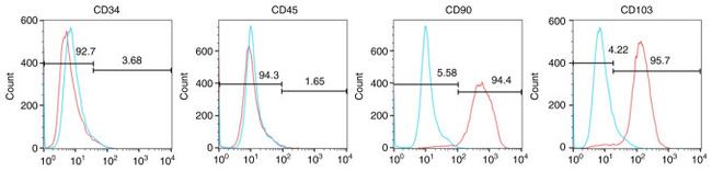 CD45 Antibody in Flow Cytometry (Flow)