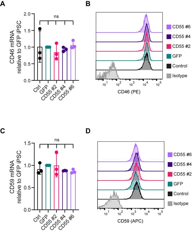 CD59 (Protectin) Antibody in Flow Cytometry (Flow)