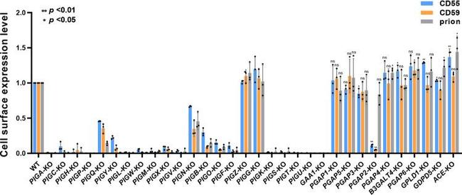 CD230 (PrP) Antibody in Flow Cytometry (Flow)