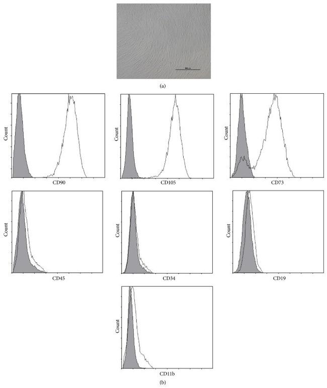 CD11b (activation epitope) Antibody in Flow Cytometry (Flow)