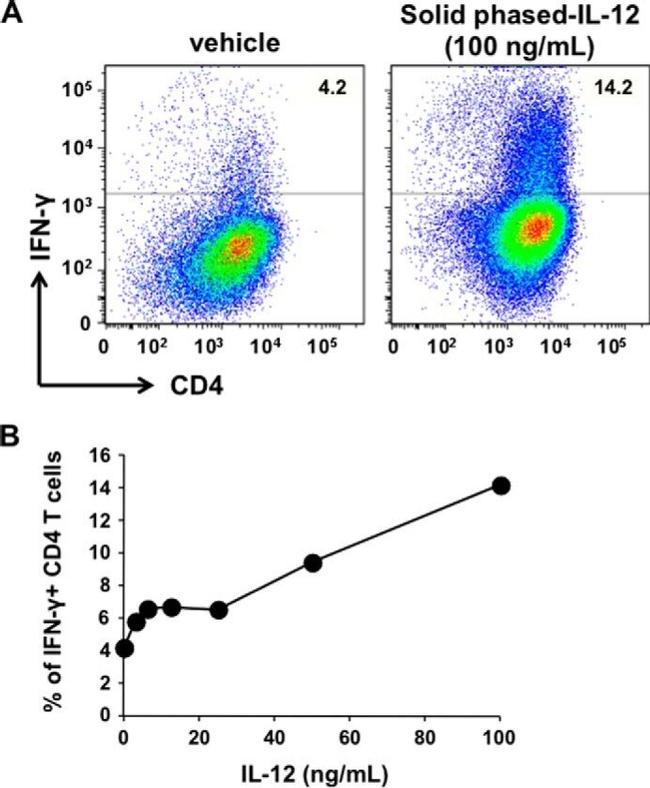 CD28 Antibody in T-Cell Activation (TCA)