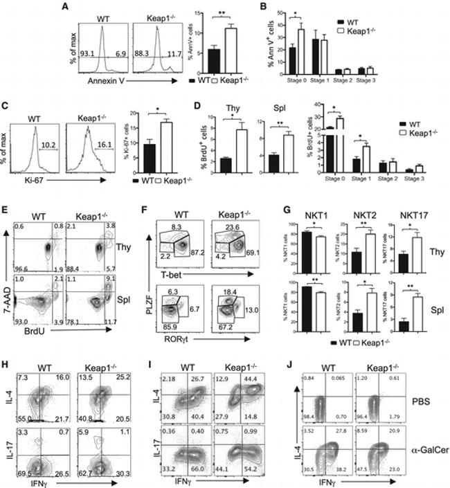 IL-4 Antibody in Flow Cytometry (Flow)