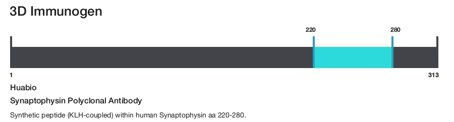 Synaptophysin Polyclonal Antibody