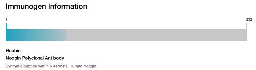 Noggin Polyclonal Antibody