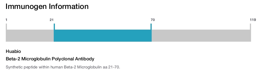 Beta-2 Microglobulin Polyclonal Antibody