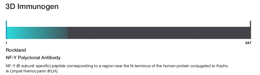 NF-Y Polyclonal Antibody