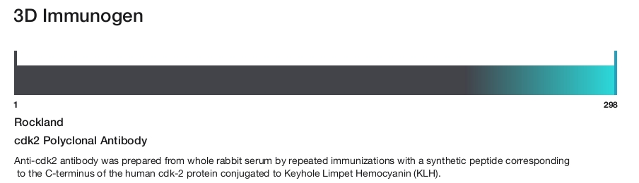 cdk2 Polyclonal Antibody