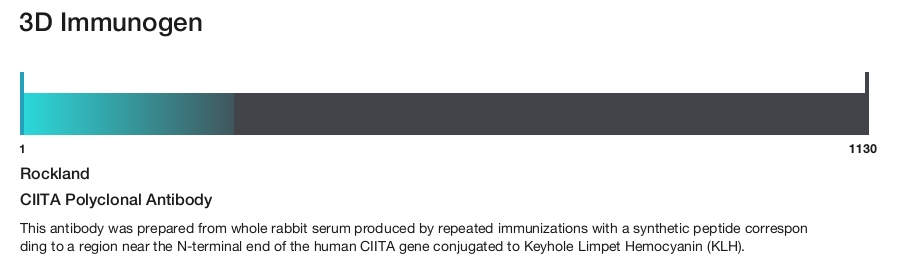 CIITA Polyclonal Antibody