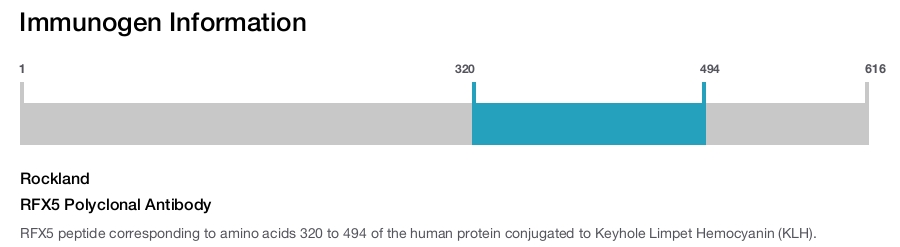 RFX5 Polyclonal Antibody