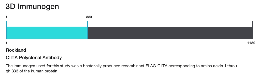 CIITA Polyclonal Antibody