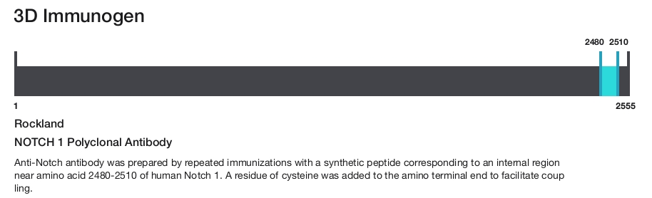 NOTCH 1 Polyclonal Antibody