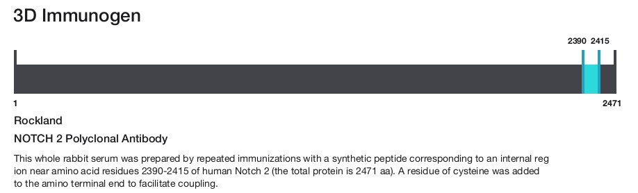 NOTCH 2 Polyclonal Antibody