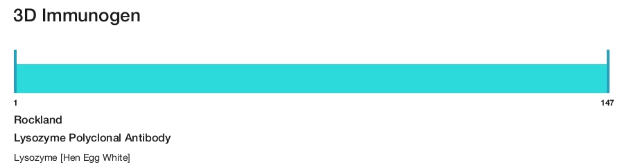 Lysozyme Polyclonal Antibody