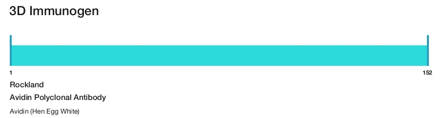 Avidin Polyclonal Antibody