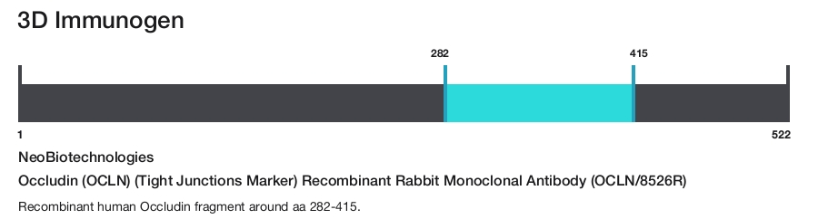 Occludin (OCLN) (Tight Junctions Marker) Recombinant Rabbit Monoclonal Antibody (OCLN/8526R)