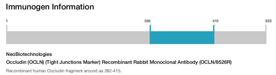 Occludin (OCLN) (Tight Junctions Marker) Recombinant Rabbit Monoclonal Antibody (OCLN/8526R)