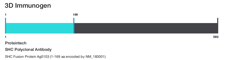 SHC Polyclonal Antibody