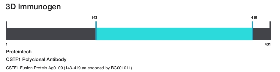 CSTF1 Polyclonal Antibody