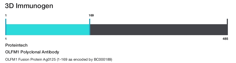 OLFM1 Polyclonal Antibody