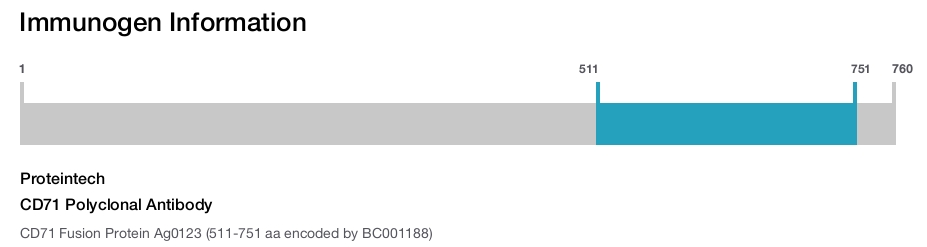 CD71 Polyclonal Antibody