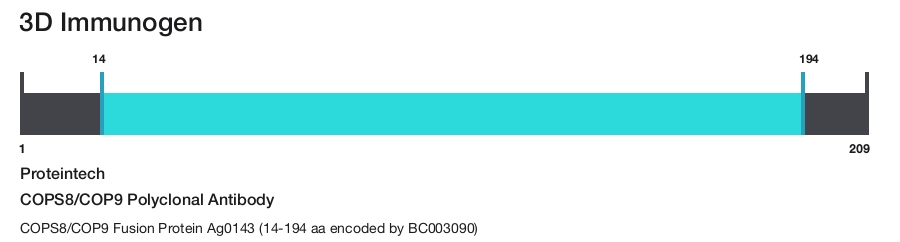 COPS8/COP9 Polyclonal Antibody