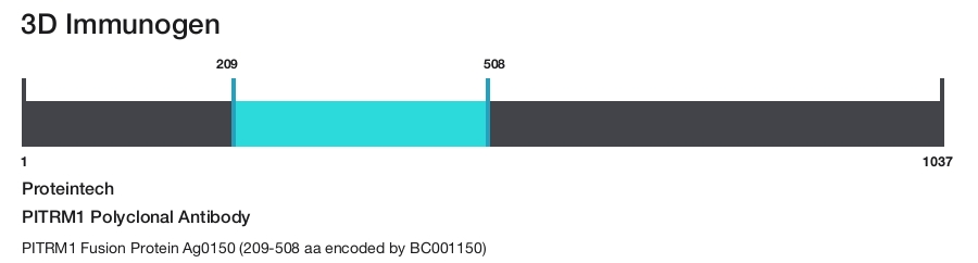 PITRM1 Polyclonal Antibody