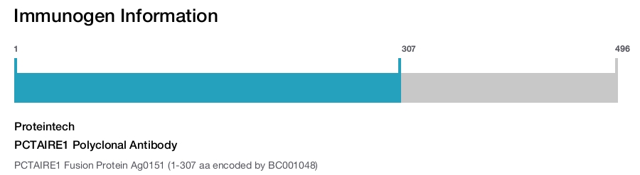 PCTAIRE1 Polyclonal Antibody