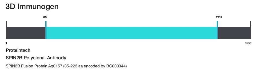 SPIN2B Polyclonal Antibody