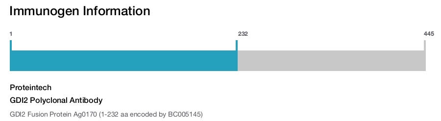 GDI2 Polyclonal Antibody