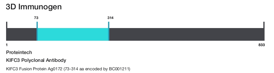 KIFC3 Polyclonal Antibody