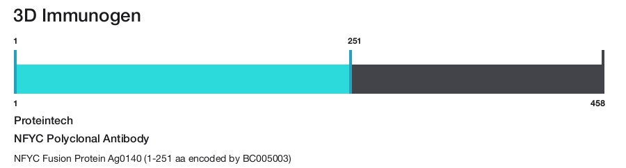 NFYC Polyclonal Antibody