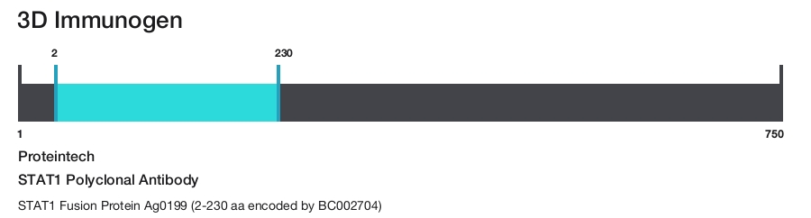 STAT1 Polyclonal Antibody