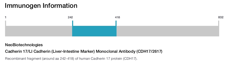 Cadherin 17/LI Cadherin (Liver-Intestine Marker) Monoclonal Antibody (CDH17/2617)