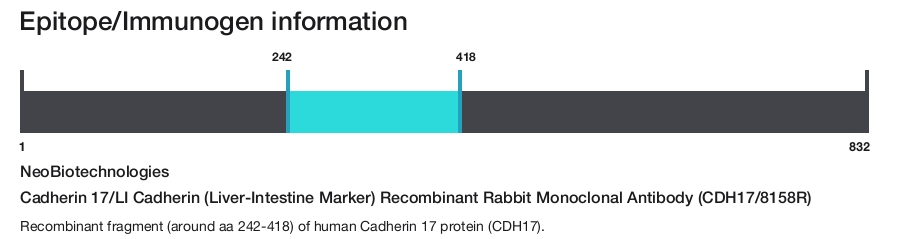 Cadherin 17/LI Cadherin (Liver-Intestine Marker) Recombinant Rabbit Monoclonal Antibody (CDH17/8158R)