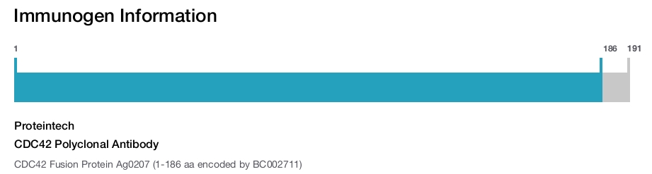 CDC42 Polyclonal Antibody
