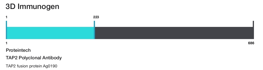 TAP2 Polyclonal Antibody