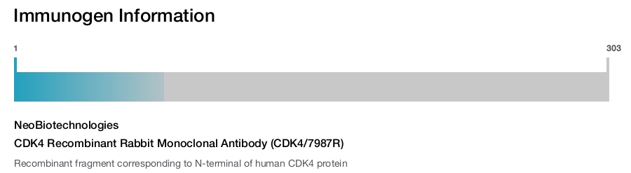 CDK4 Recombinant Rabbit Monoclonal Antibody (CDK4/7987R)