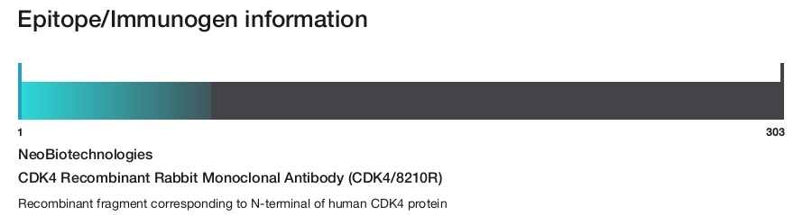 CDK4 Recombinant Rabbit Monoclonal Antibody (CDK4/8210R)