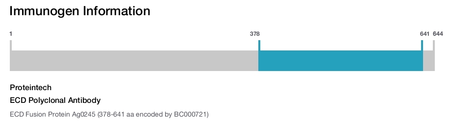 ECD Polyclonal Antibody