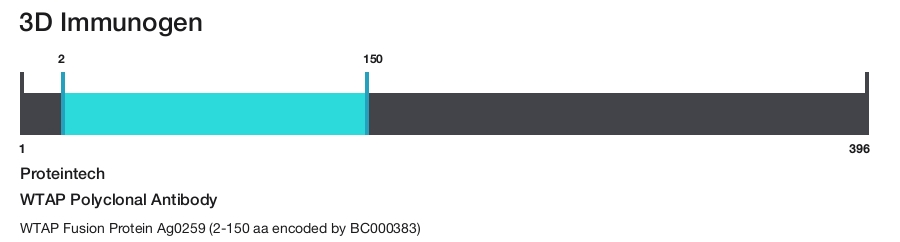 WTAP Polyclonal Antibody