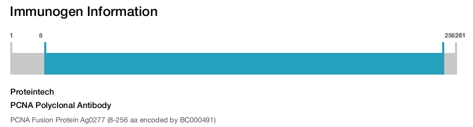 PCNA Polyclonal Antibody
