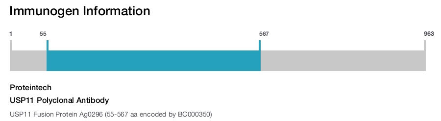 USP11 Polyclonal Antibody