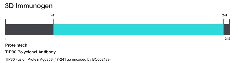 TIP30 Polyclonal Antibody