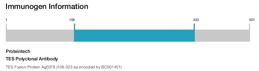 TES Polyclonal Antibody