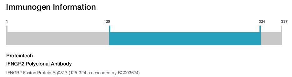 IFNGR2 Polyclonal Antibody