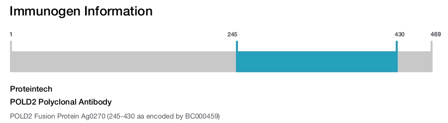 POLD2 Polyclonal Antibody
