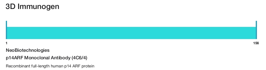 p14ARF Monoclonal Antibody (4C6/4)
