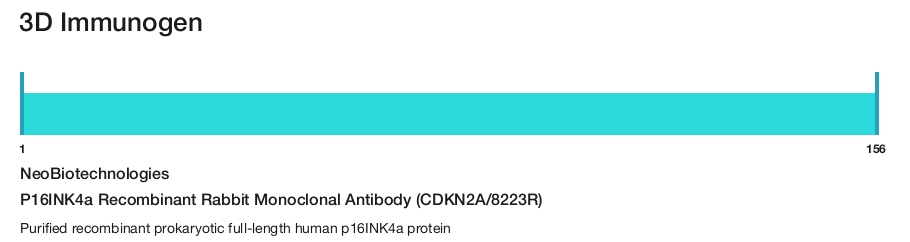 P16INK4a Recombinant Rabbit Monoclonal Antibody (CDKN2A/8223R)