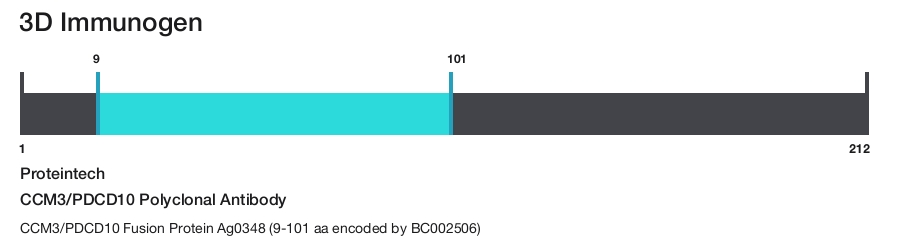 CCM3/PDCD10 Polyclonal Antibody