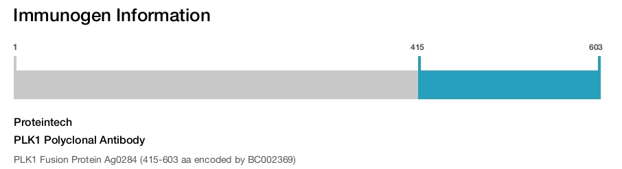 PLK1 Polyclonal Antibody